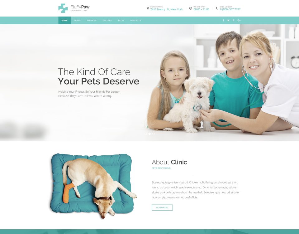 Pet Clinic 12