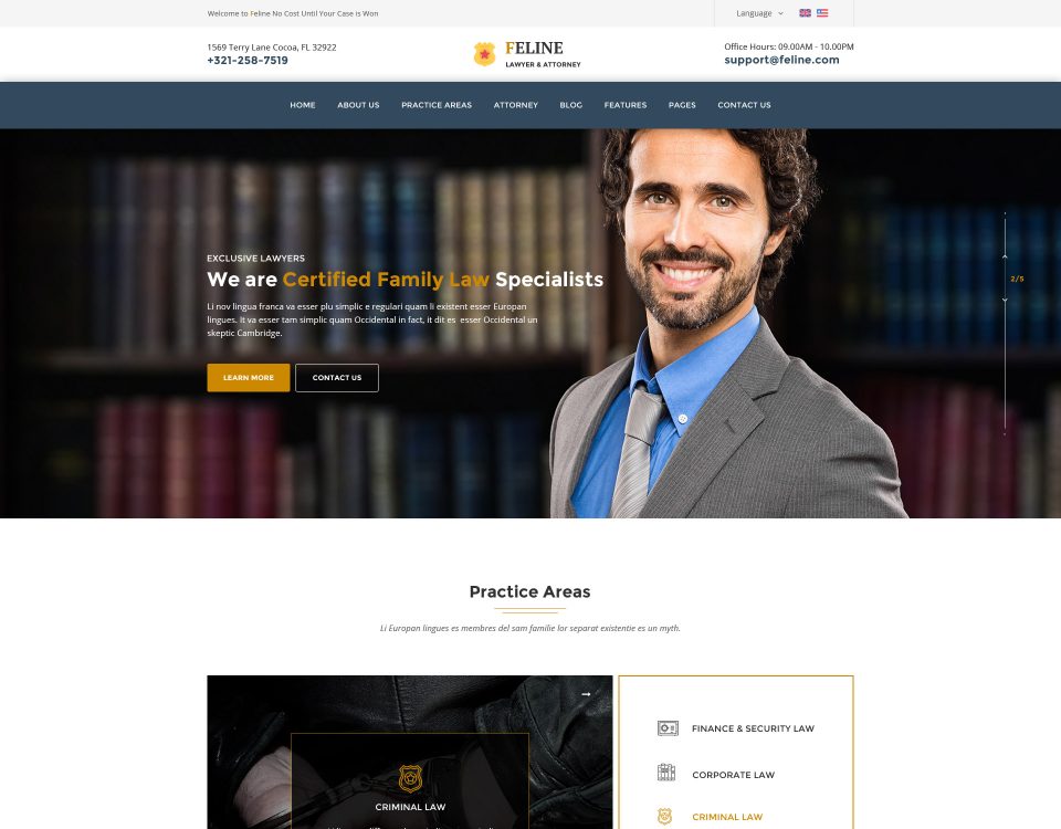 Accountant 55