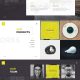 Business 295