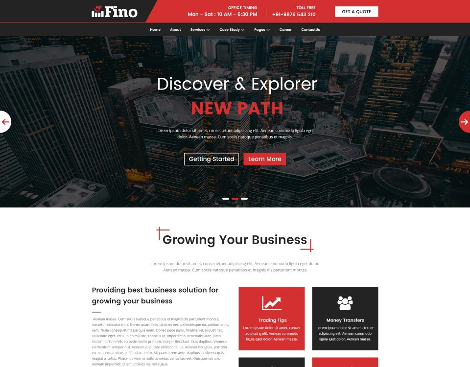 Finance Website 29